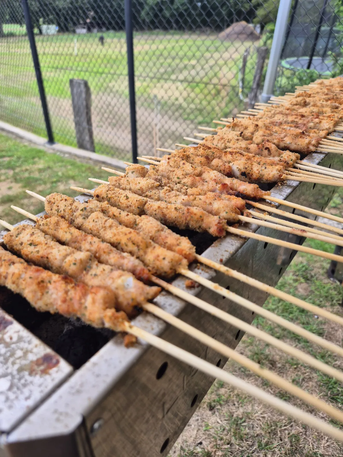 Arrosticini van kip in lange rijen naast de grill
